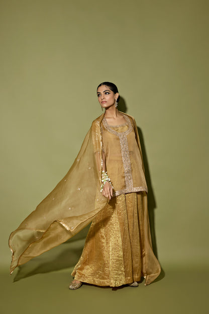 ORGANZA SATIN SHARARA SET