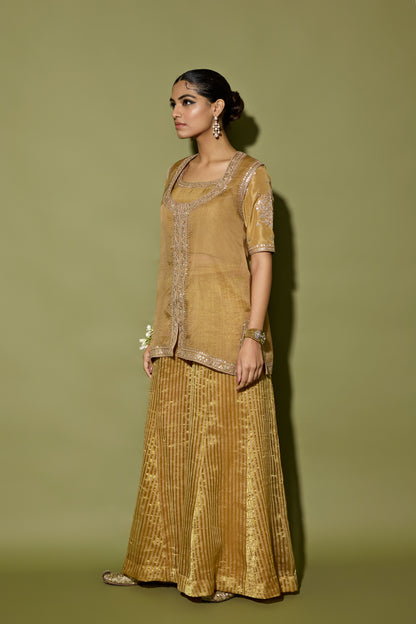 ORGANZA SATIN SHARARA SET