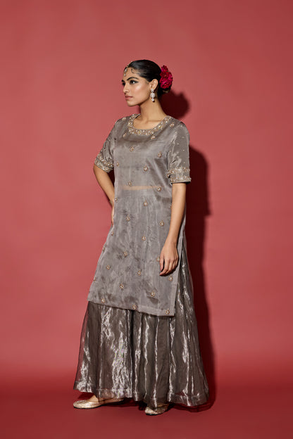 ORGANZA TISSUE SHARARA SET