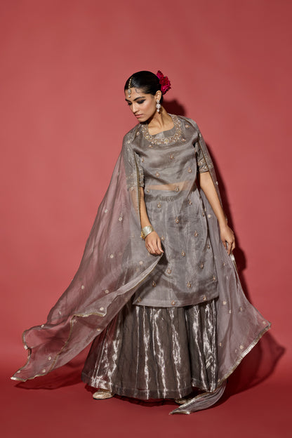 ORGANZA TISSUE SHARARA SET