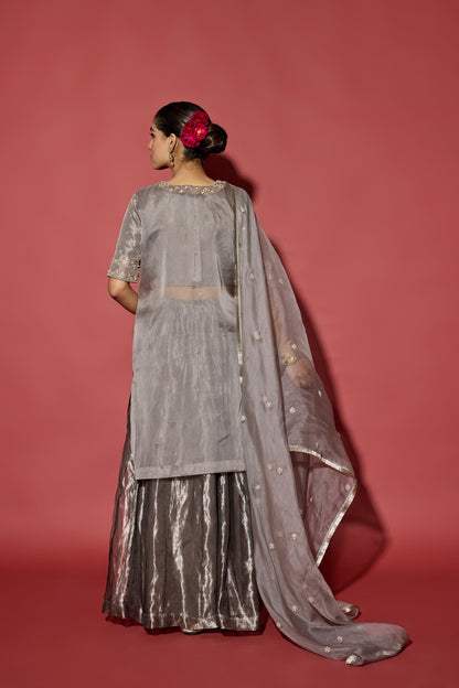 ORGANZA TISSUE SHARARA SET