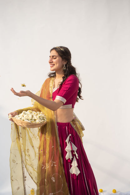 WINE-PARROT LEHANGA SET