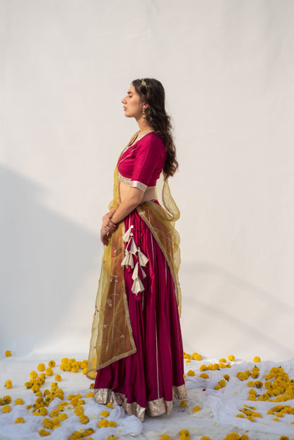 WINE-PARROT LEHANGA SET