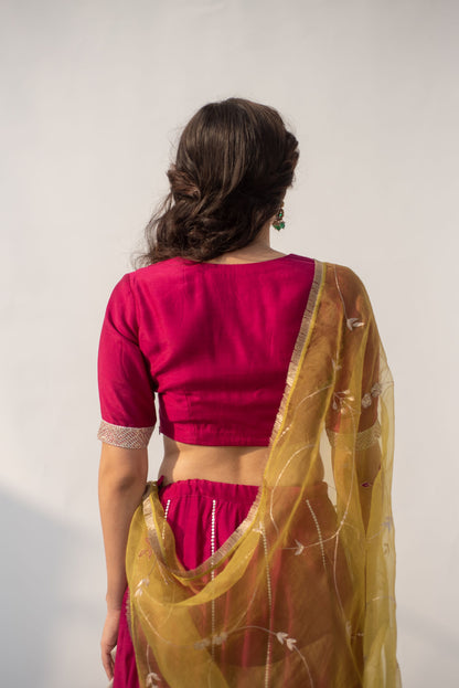 WINE-PARROT LEHANGA SET