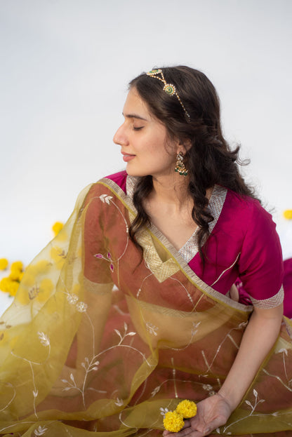 WINE-PARROT LEHANGA SET