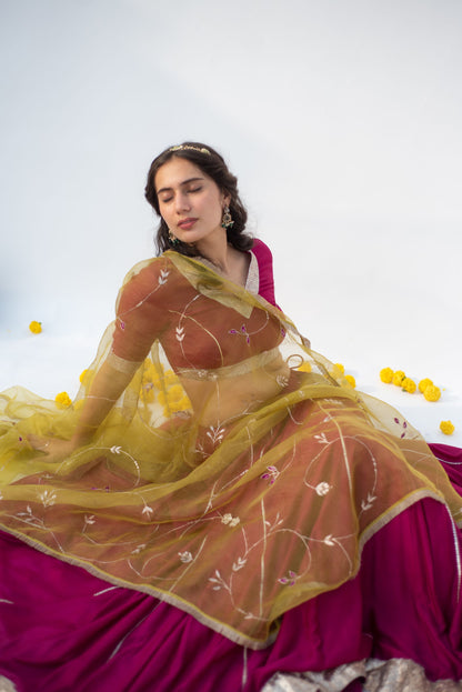 WINE-PARROT LEHANGA SET