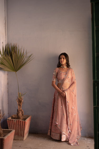 ONION PINK ENCHANTED