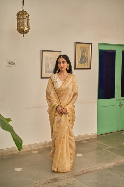GULZAR SAREE